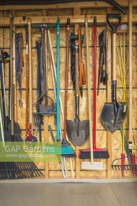 Stored assorted gardening tools on wall of garden shed - June