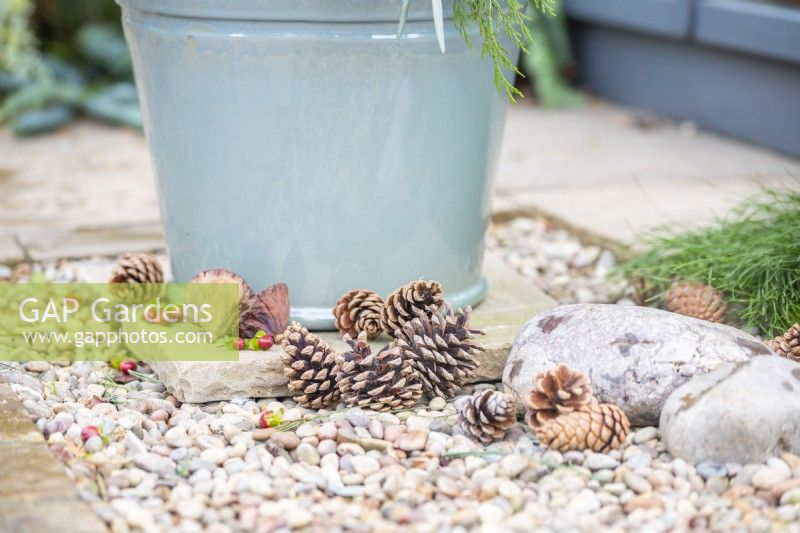Pinecones and berries at the base of the container