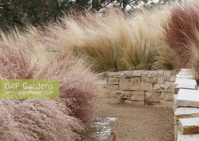 Frosted grasses planted above a stone wall that edges a path