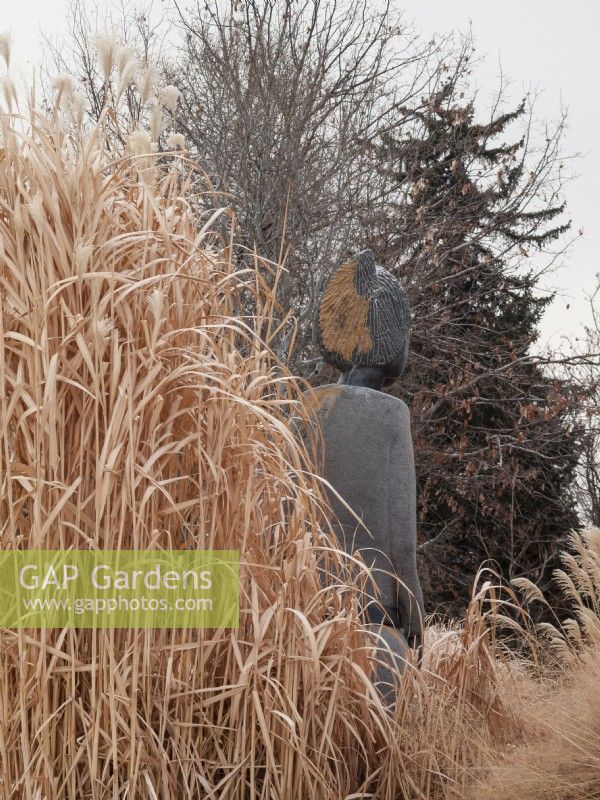 Stone sculpture of African woman framed by bleached ornamental grasses in winter