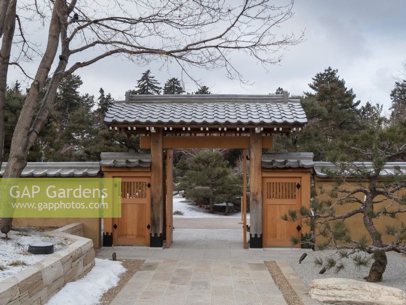 Winter shot of entrance to a Japanese garden with traditional pergola style gates. Stone wall, boulders and sculptural pine in foreground