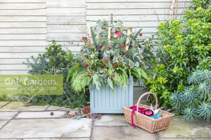 Evergreen Christmas container with Pinus, Thuja, Eucalyptus, Hypericum, Cotoneaster and Birch branches decorated with baubles