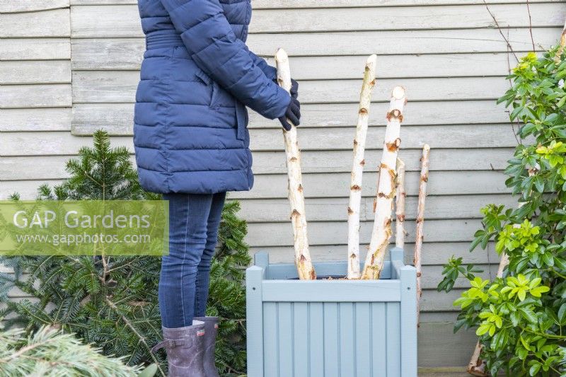 Woman placing birch branches in the container