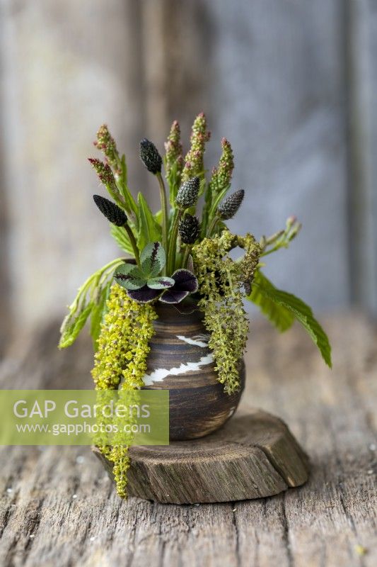 Small ceramic vase with Sorrel, Plantain, Purple variegated Clover and Alder catkins.