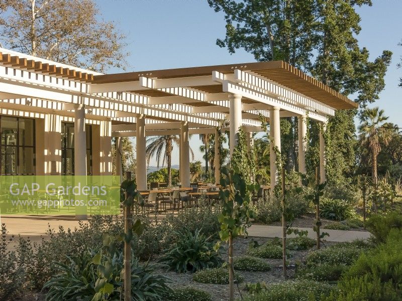 Late afternoon sun on pergola casts shadows. Surrounded by lush plantings of Huntington Botanical Gardens with distant hills