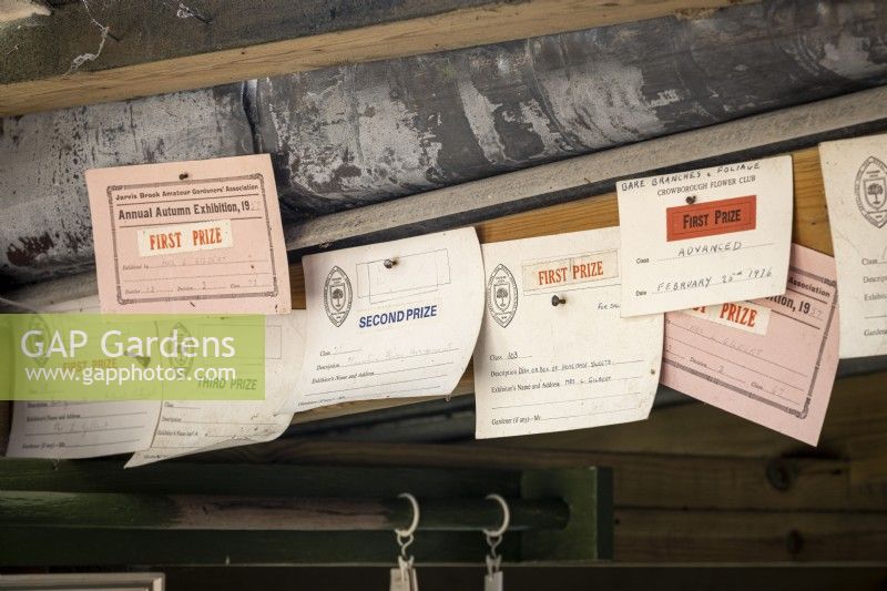 Prize certificates pinned to wall in potting shed, local horticultural show