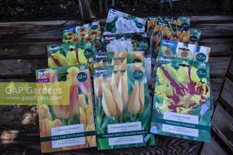 Bulb packets photographed as record before planting. On greenhouse bench.