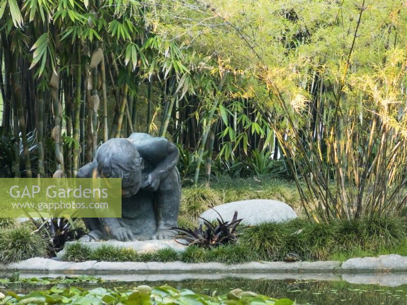 Whimsical statue of little boy kneeling by lily pond at sunset. Bamboo in background. Huntington Botanical Gardens