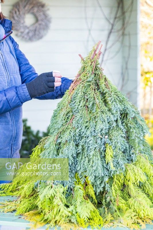 Woman using wire to tie conifer branches around the plant pot