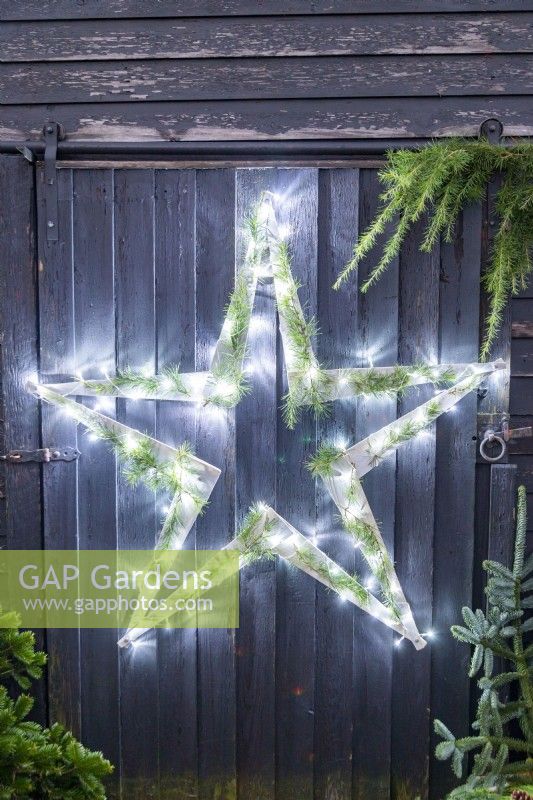 Wooden star with fairy lights and Cedar sprigs lit up on black wooden wall
