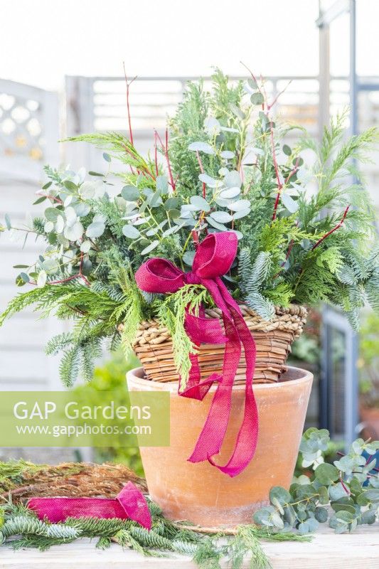 Evergreen Christmas hanging basket supported with a pot, surrounded by foliage