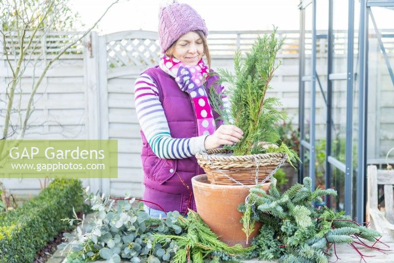 Woman placing conifer sprigs in the hanging basket