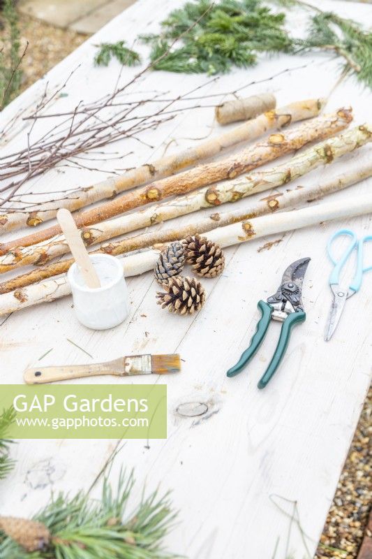 Birch branches, pine cones, string, scissors, secateurs, white paint and a paint brush laid out on a table