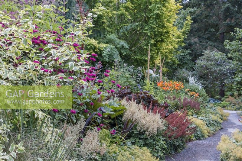 Path leading through  densely planted, colorful mixed borders
