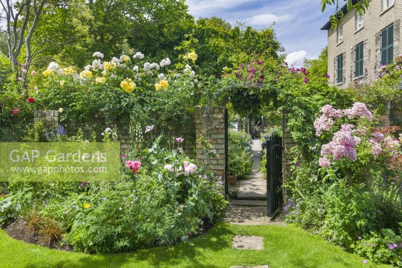Brick wall and gate constructed to separate the informal and formal sections of a town garden. Roses and clematis, mixed borders - June.