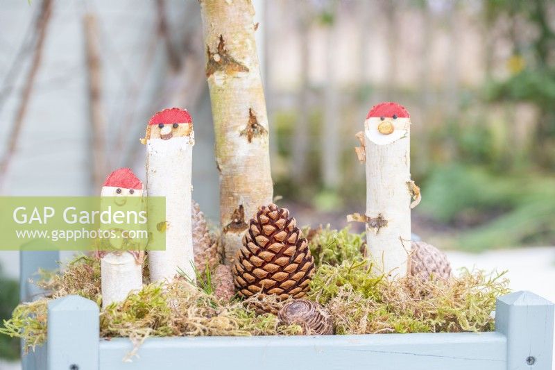 Birch stick Santas standing in moss at the base of a tree