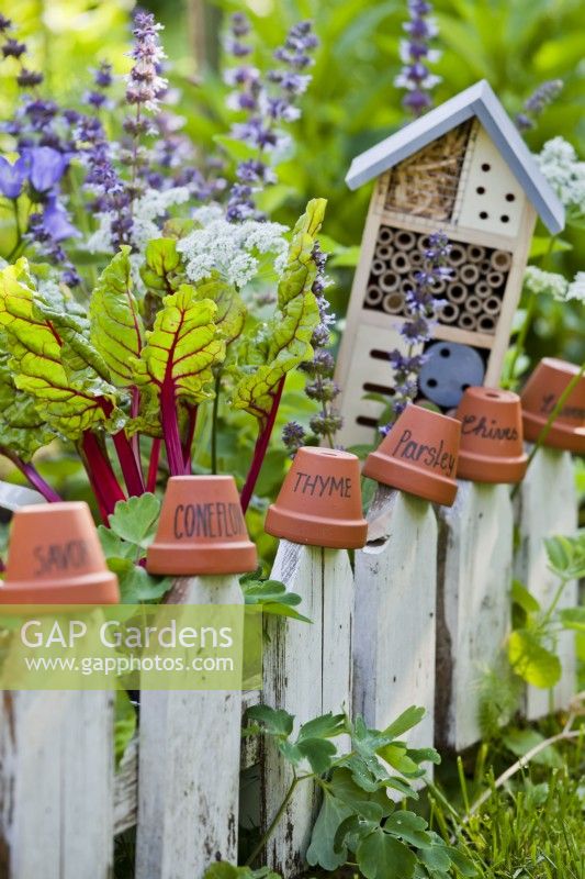 Tiny kitchen garden with terracotta pot labels.