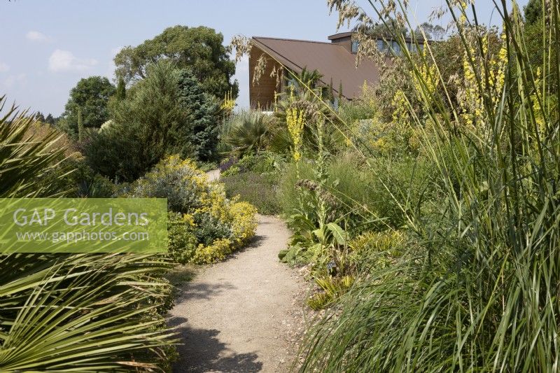 Visitor Centre, seen from the Dry Garden, RHS Garden Hyde Hall, with pathway and summer flowering plants