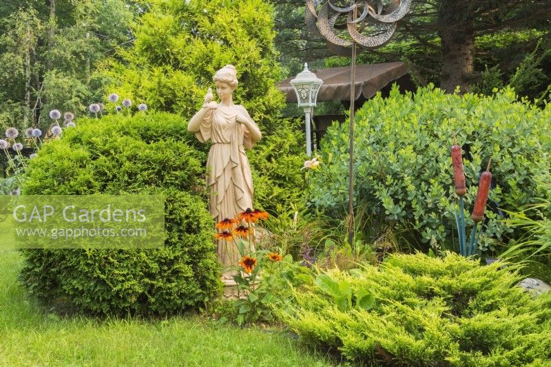 Sculpture of woman near conifers: Juniperus chinensis 'Old Gold' - Chinese Juniper, Thuja occidentalis 'Little Giant' - Cedar in border in summer, Quebec, Canada - July