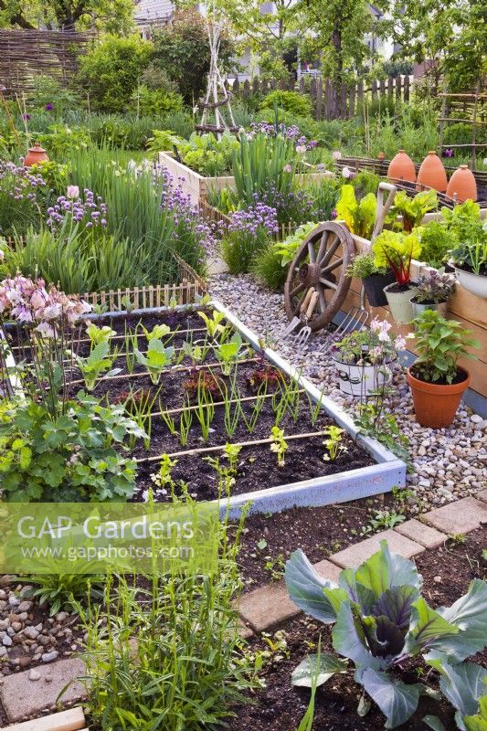 Row planting in vegetable bed with celery, onion, red lettuce, kohlrabi 'Vienna', onion, lettuce 'Romaine' and kohlrabi 'Kolibri F1'.