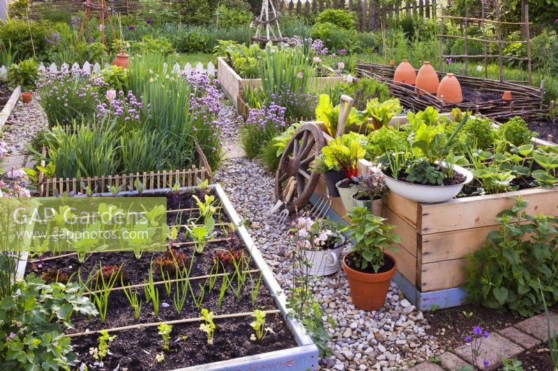 Row planting in raised bed with celery, onion, red lettuce, kohlrabi 'Vienna', onion, lettuce 'Romaine' and kohlrabi 'Kolibri F1', various containers planted with herbs and vegetables.