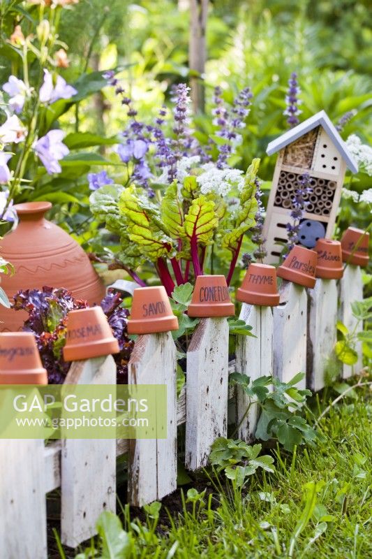 Tiny wildlife friendly kitchen garden with herbs, flowers, vegetables and an insect house.