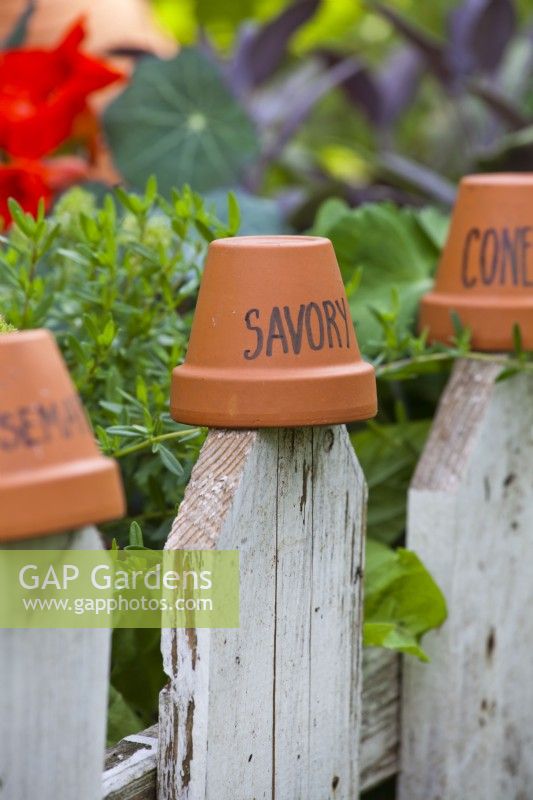 Terracotta pot label for savory on a fence.