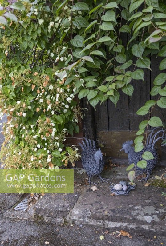 Metal sculptures of birds with nest and eggs, in shade of shed, Stockton Bury Garden