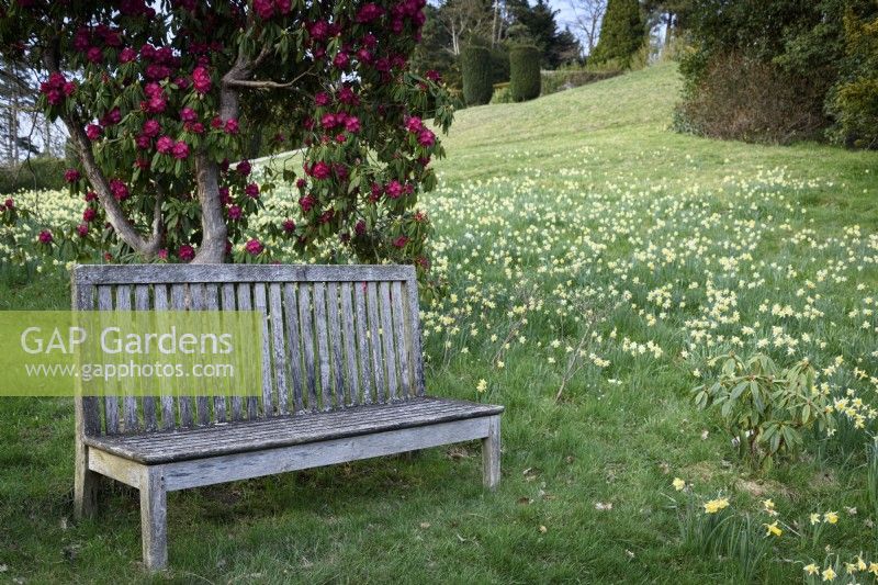 Wooden seat on a grassy slope at Perrycroft, Herefordshire in March