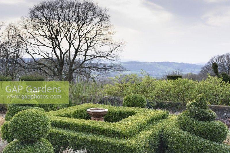 View west across the formal garden at Perrycroft, Herefordshire in March featuring clipped box around a central bird bath.
