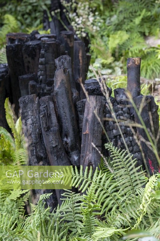 Burnt log garden feature in garden border