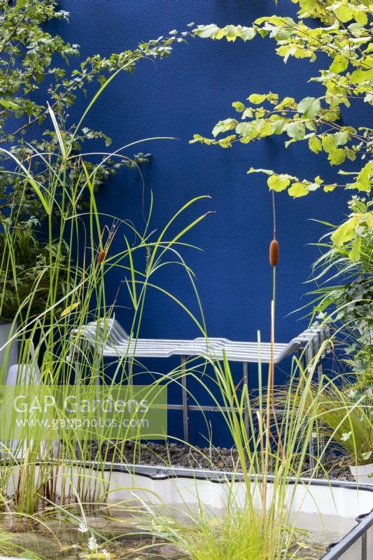 Small pond and metal contemporary bench in small courtyard garden with painted blue walls, RHS Chelsea Flower Show 2021, IBC Pocket Forest