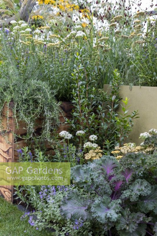 Flowers, vegetables and herbs planted in small courtyard garden, RHS Chelsea Flower Show 2021, Parsley Box Garden