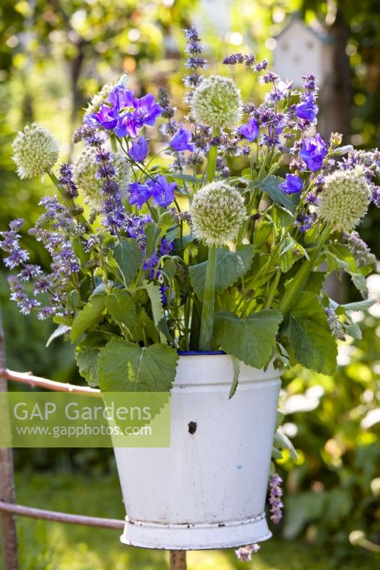 Floral arrangement in enamel bucket including Campanula, Salvia verticillata and Allium fistulosum.