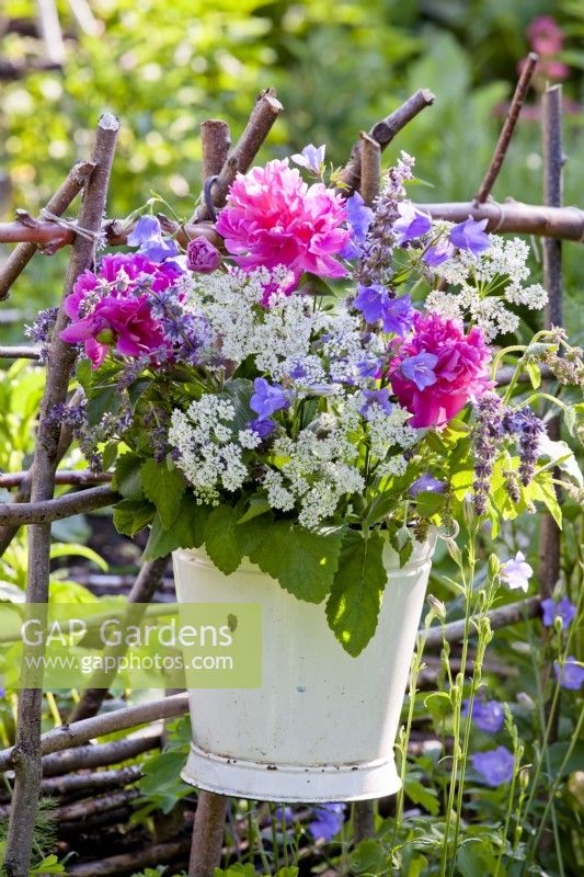 Arrangement in old bucket including peony, hogweed, Campanula and Salvia.