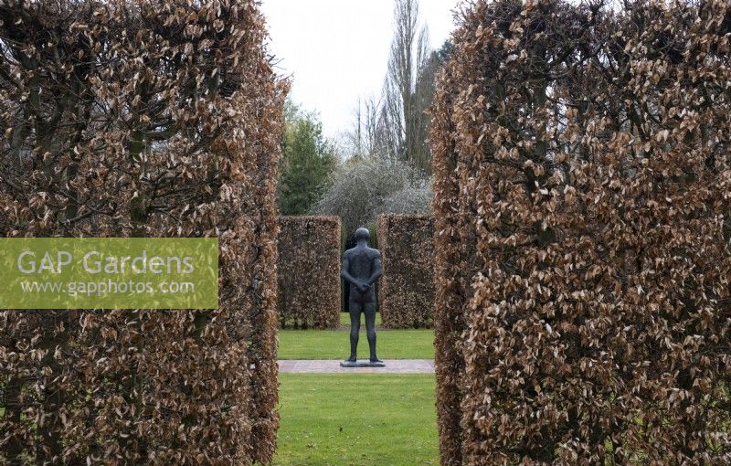 'Standing Man', a bronze sculpture in the sculpture garden surrounded by Beech hedges at Thenford Gardens and Arboretum, Thenford, Burford, Oxfordshire, UK