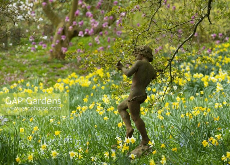 A figurative sculpture surrounded by Narcissus in the Spring Garden at Thenford Gardens and Arboretum, Thenford, Banbury, Oxfordshire, UK