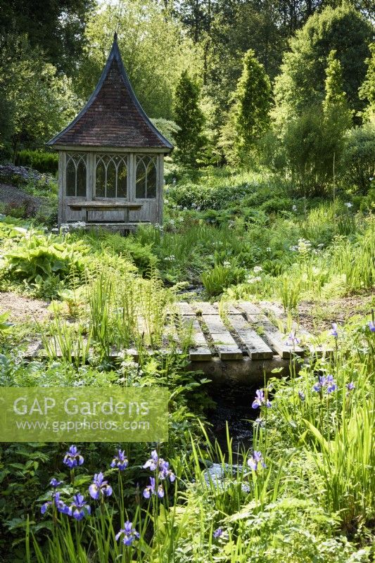 Simple wooden bridge over a stream at the Old Rectory, Netherbury, Dorset in May edged with primulas, irises and ferns and a wooden summerhouse behind
