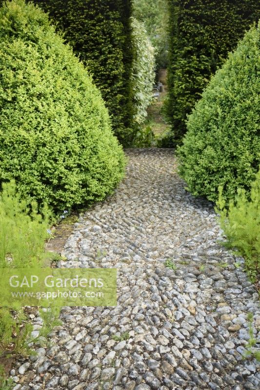 Cobbled path at the Old Rectory, Netherbury, Dorset in May