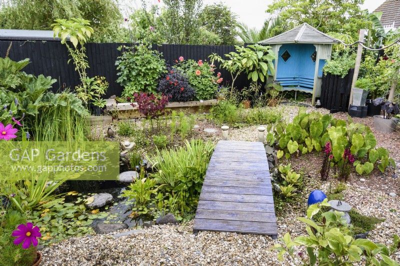 Gravel garden with pond and exotic foliage plants in August