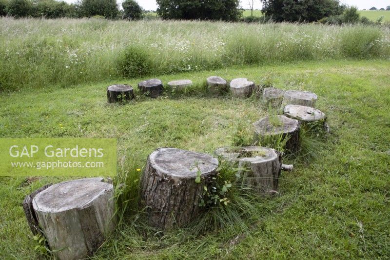A horseshoe of tree rounds offers a place to sit or gather in a wildflower meadow at Westclyst Barnyard, Devon. An NGS garden. July. Summer.