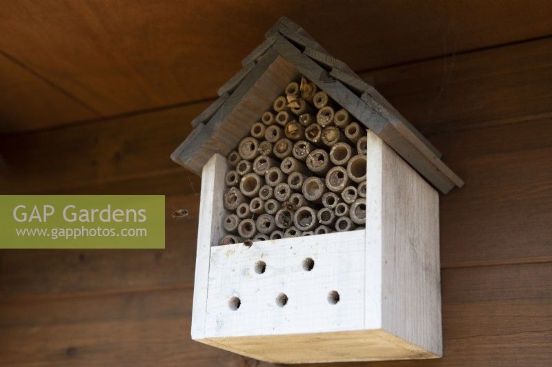 A bee hotel, set in the rafters of a summer house, attracts solitary bees.