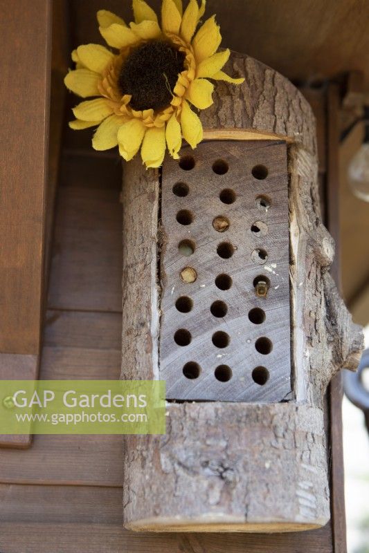 A home made bee hotel, set in the rafters of a summer house, attracts solitary bees. 