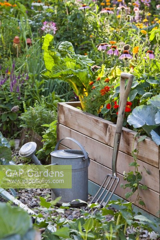 Organic garden with raised beds and garden tools.