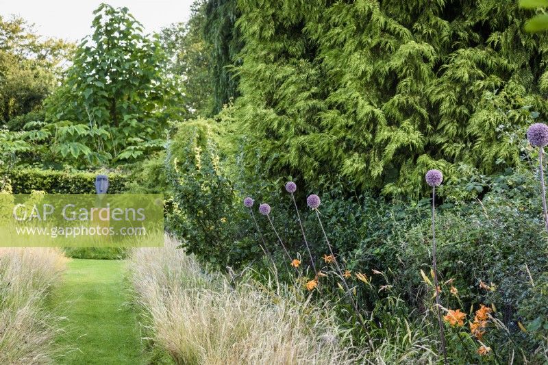 Allium 'Summer Drummer' lines a path leading to a sculpture on a steel plinth in an August garden.
