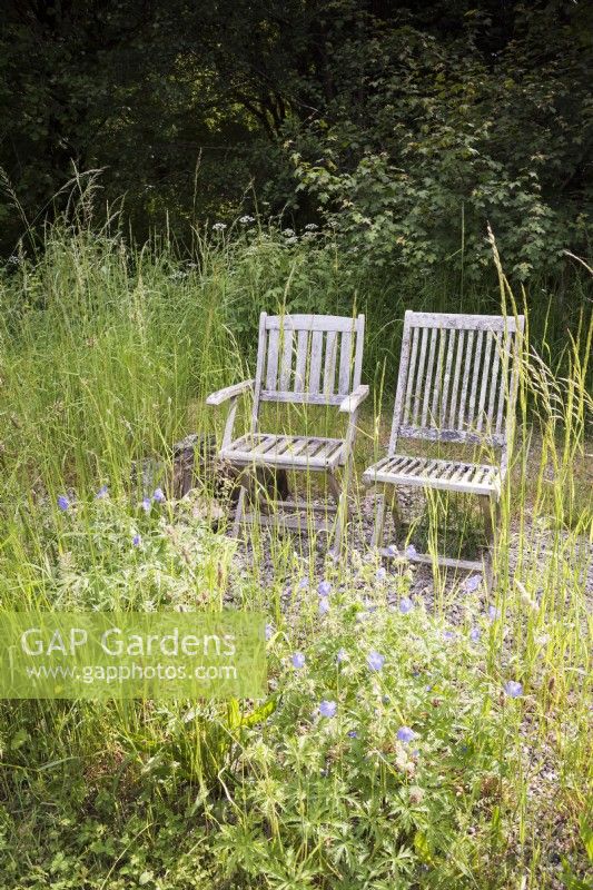 A pair of wooden garden seats in a naturalistic area of Am Brook Meadow in Devon in June