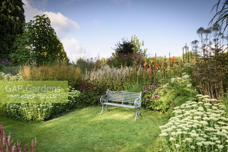 Metal bench surrounded by herbaceous perennials at Highfield Farm in August including Hylotelephium spectabile and kniphofias.