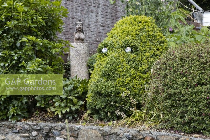 A common box shrub has been simply cut to resemble a face and old golf balls upcycled to make eyes. Derrydown, an NGS garden. July. Summer. 