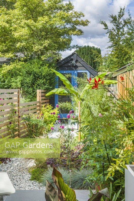 View of long narrow town garden in summer with garden studio. July