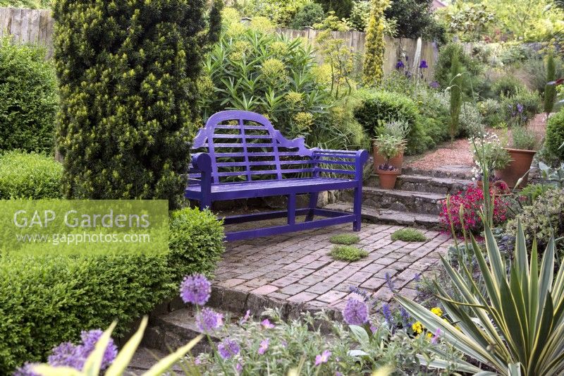 Purple garden bench on brick pathway in urban garden, with box hedging and yew topiary